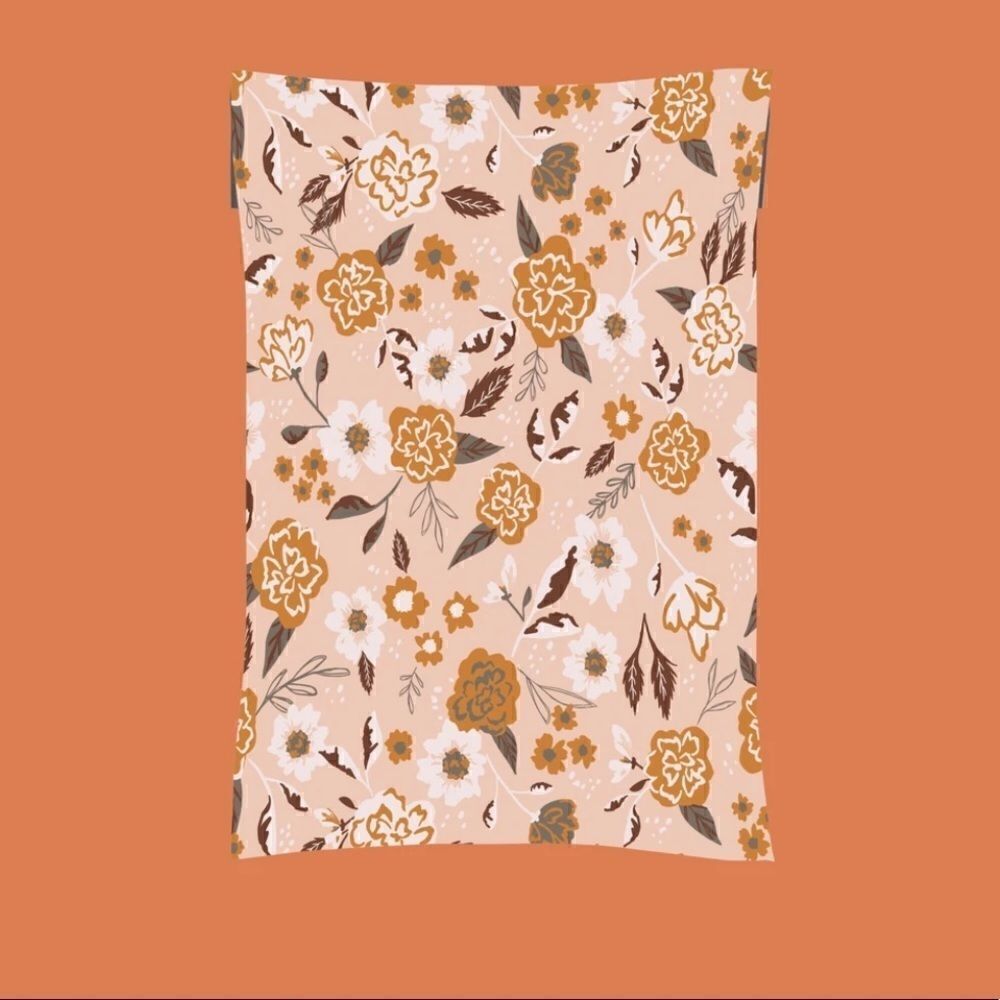 Poly Mailers MIX 6x9 10 x13 14.5x19 insert cards transparent plastics 30 sticke